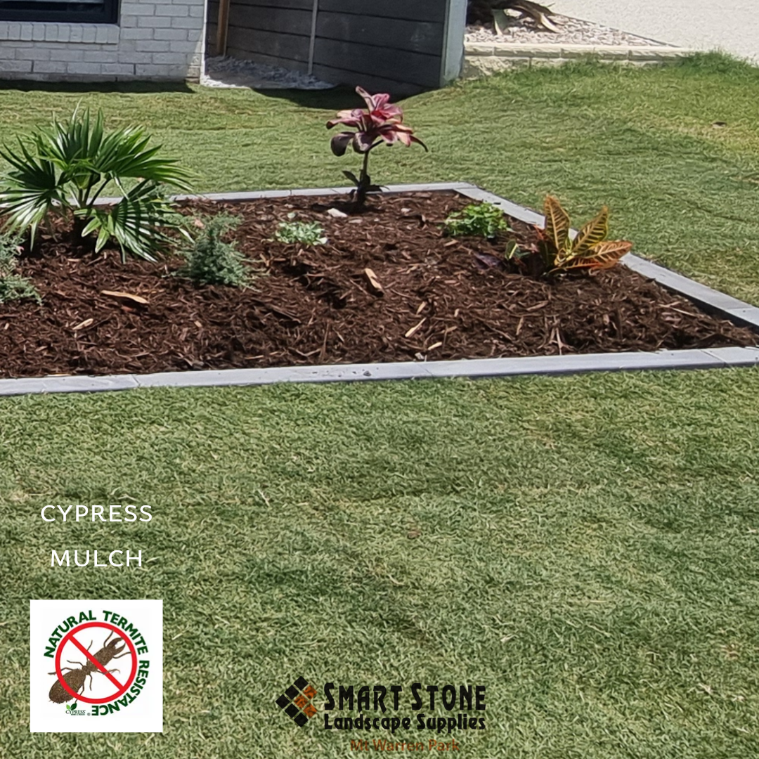 SSLS CYPRESS MULCH Above Ground