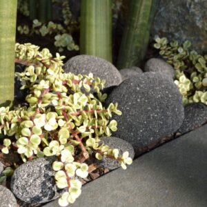Kashmiri Bagged Pebbles